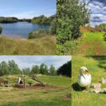 Bedfont Lakes Country Park in Feltham, London.